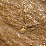 Seashells Necklace