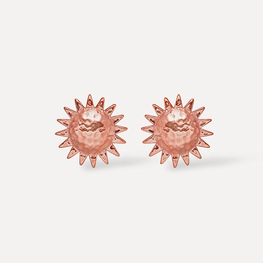 SOLAR EARRINGS