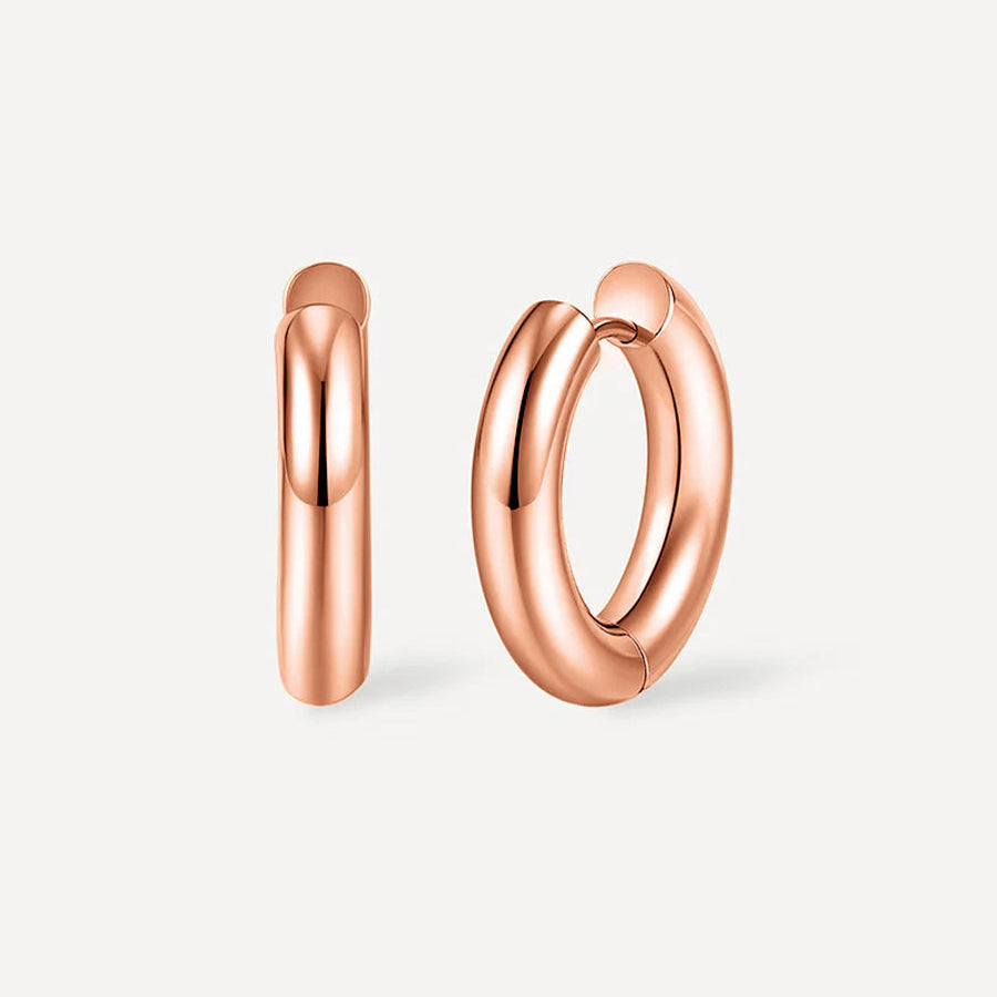 Smooth Hoop Regular Earrings