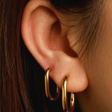 Absolute Appeal Earrings