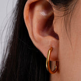 19mm Absolute Appeal Small Earrings
