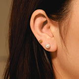 Simple Pearl Earrings