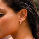 Shining Open Heart Earrings
