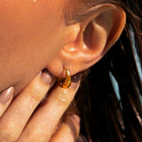 Graceful Dome Small Earrings