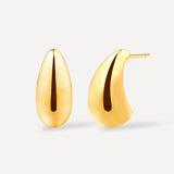 Small Chic Drop Earrings