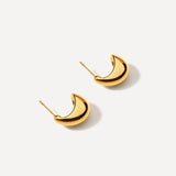 Small Chic Drop Earrings