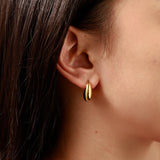 Small Chic Drop Earrings