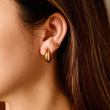 Small Chic Drop Earrings