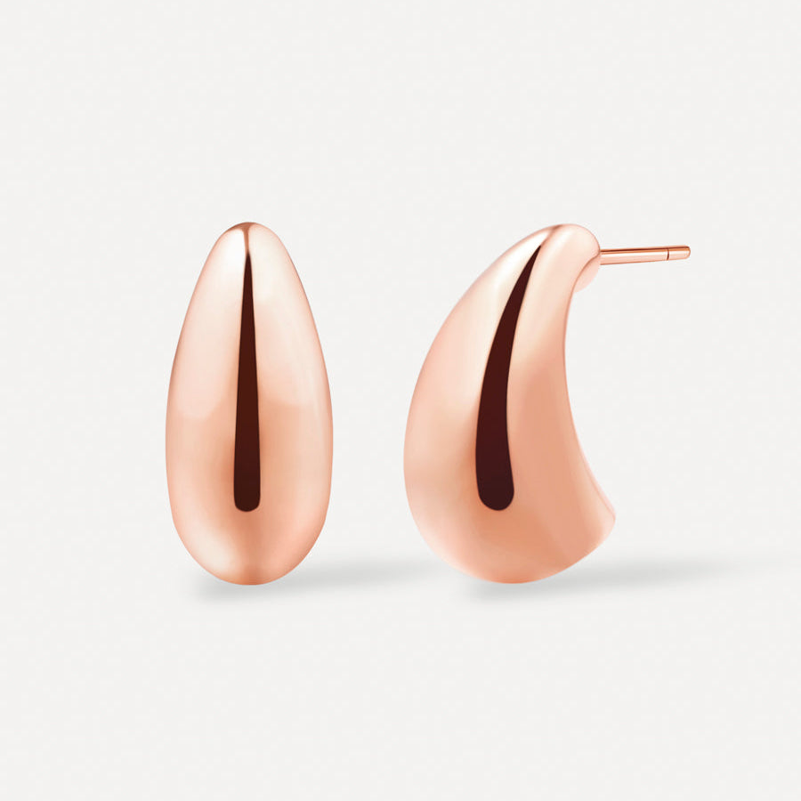 Small Chic Drop Earrings