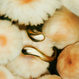 Premium Ring